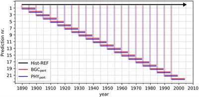 Ocean Biogeochemical Predictions—Initialization and Limits of Predictability